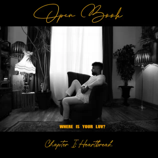 WHERE IS YOUR LUV ? artwork